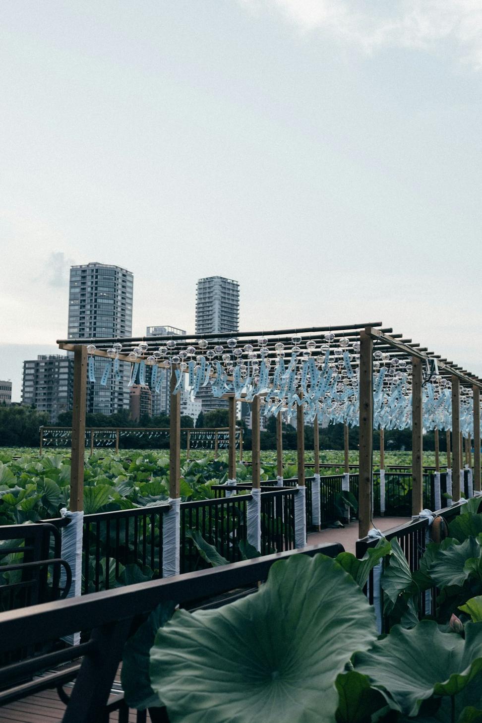 Green roof